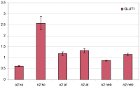 Figure 1: Real-time PCR