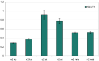 Figure 2: Real-time PCR