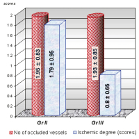 Figure 1: Vessels - Ischemic degree