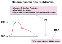 Abbildung 1: Blutdruck - Determinanten