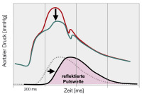 Abbildung 3: Antihypertensiva