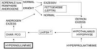 Abbildung 1: Polyzystisches Ovar-Syndrom - Pathogenese