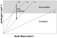 Abbildung 3: Androgen Load - BMI