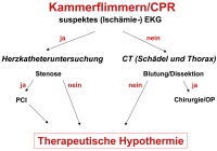 Abbildung 1: Kammerflimmern