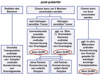 Abbildung 1: Fertilittsprotektion