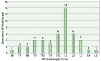 Abbildung 1: Wirbelkrper