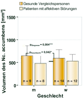 Abbildung 3: Nucleus accumbens