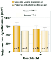 Abbildung 5: Hypothalamus