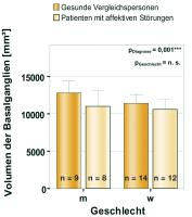 Abbildung 6: Basalganglien