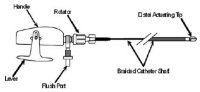Abbildung 1: A. femoralis