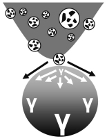 Abbildung 9: Fluid entrainment