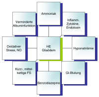 Abbildung 1: Hepatische Enzephalopathie