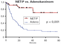 Abbildung 2: Neuroendokrines Karzinom