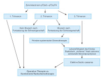 Abbildung 6: Schwangerschaft - Krebsdiagnose