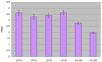 Figure 4: PCR - PDK