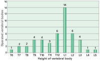 Abbildung 1: Vertebral bodies