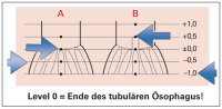 Abbildung 5: Biopsieprotokoll