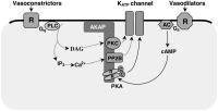 Figure 1: KTP-Kanal - Regulation
