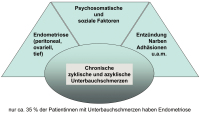 Abbildung 2: Endometriose