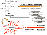 Abbildung 10: GnRH-Agonist