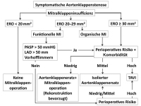 Abbildung 2: Aortenklappenstenose