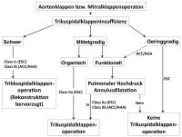 Abbildung 3: Aortenklappenoperation - Mitralklappenoperation