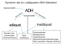 Abbildung 1: ADH-Sekretion