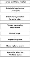 Figure 1: Athersoklerose - Endotheliale Dysfunktion