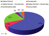 Abbildung 10: Dura