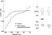 Figure 1: KATP-Kanal - Phosphatabhngigkeit