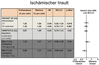 Abbildung 8: Ischmischer Insult