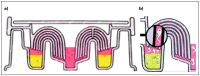 Abbildung 3: Zech-Selector(R)