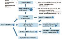 Abbildung 1: Hypertonie