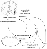 Abbildung 1: Epilepsie - AED - endokrine Organe