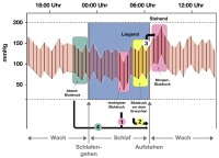 Abbildung 1: Early morning surge