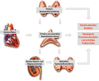 Abbildung 1: Aldosteron - Parathormondysregulation