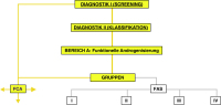 Abbildung 1: Weibliche Androgenisierung