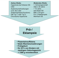 Abbildung 1: Preklampsie/Eklampsie