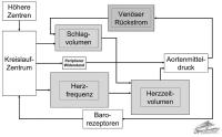 Abbildung 1: Kreislauf - Arbeit