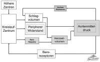 Abbildung 2: Kreislauf - Arbeit