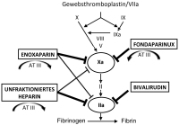 Abbildung 2: Katheterintervention