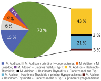 Abbildung 1: Morbus Addison