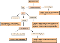 Abbildung 1: Hyponatraemia
