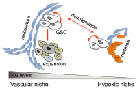 Figure 1: GSC