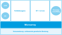 Abbildung 1: Microarrays