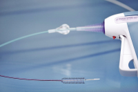 Abbildung 1: Produkt: BIOTRONIK Pulsar-18-Stent<br>Vertrieb: Biotronik Vertriebs-GmbH