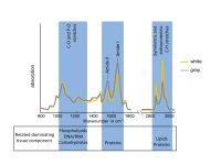 Figure 1: Vibrational Spectroscopy