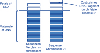 Abbildung 2: Aneuploidie-Screening