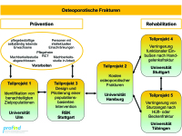 Abbildung 1: Osteoporotische Frakturen