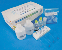 Abbildung 2: Produkt: SpermFunc DNAf-Halotest<br>Vertrieb: Gynemed Gmbh